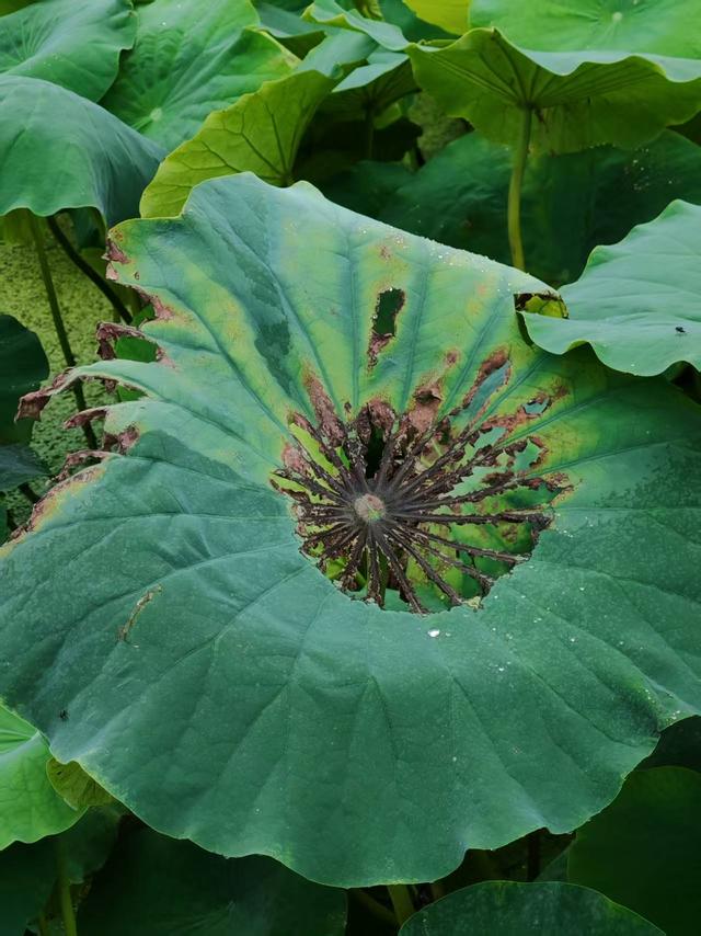 永不言弃
