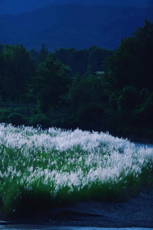 你们推荐的夕阳美景，我们去拍了哦！
