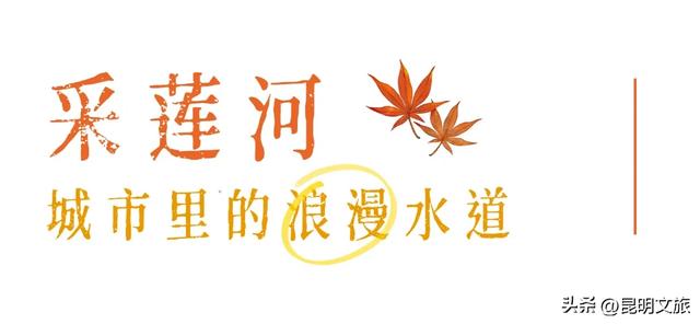 初冬氛围感出片计划，走起！昆明这份打卡攻略速速收藏→