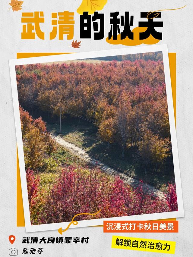 嗨，你的秋天留住了吗？