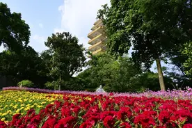 重庆爬山好去处盘点！一起上秋山，去“班味儿”吧图片