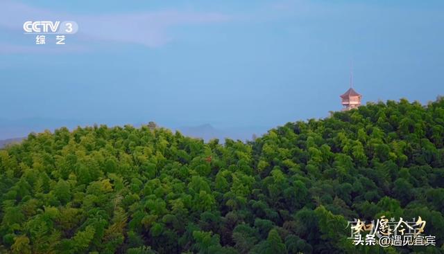 宜宾再度出圈：长江首城藏着的浪漫基因