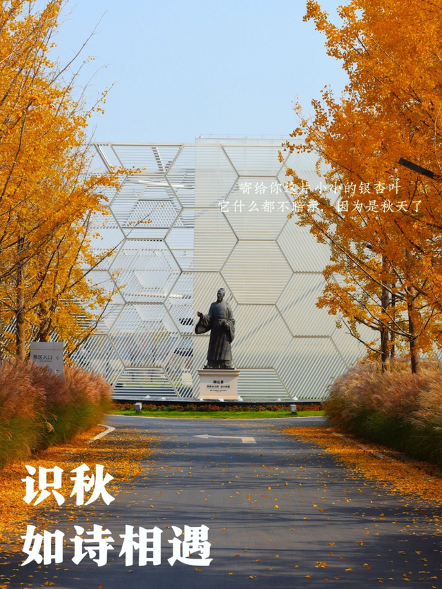 秋雨过后秋意浓，洛神湖畔韵无穷