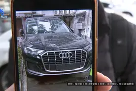 奥迪Q7开了半个月，就要换电脑版，他的要求只有一个图片