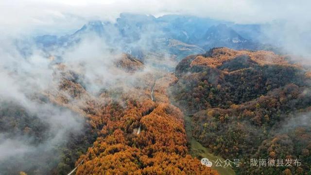 松针作笔，风折叶黄——嘉陵江峡谷群的初冬上滩书
