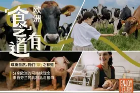 探访欧洲芬兰乳制品企业和农场：可持续下的传承与创新图片
