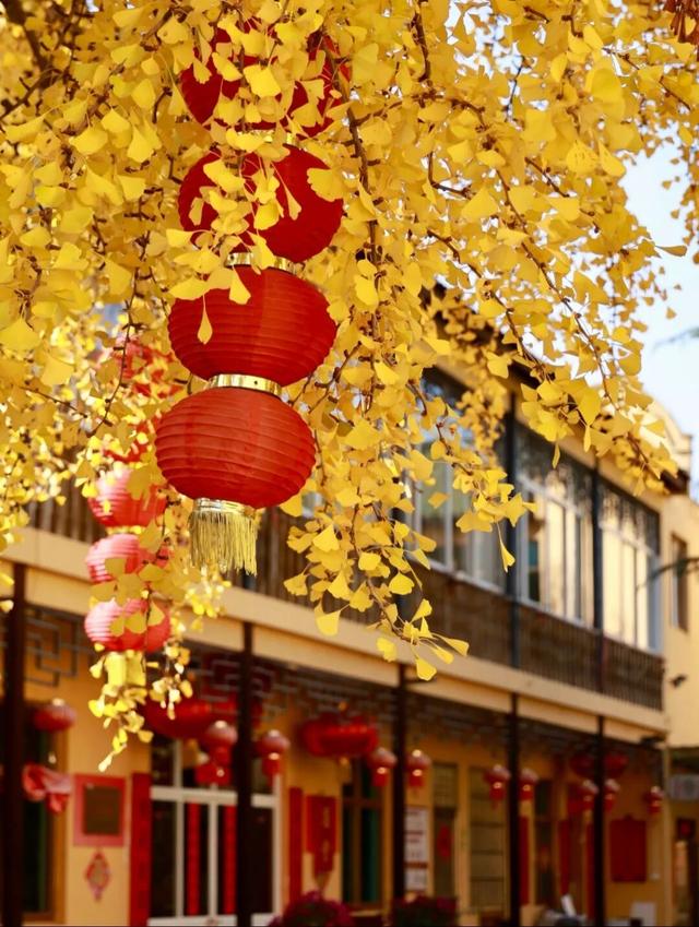 江阴版“西红柿炒蛋”，上线了！