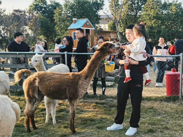 宁波秋季乡村游，魅力何在？