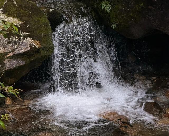 “神奇苍山”五条主题线路开启苍洱之旅