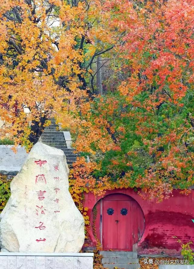 【乐游烟台】一眼惊艳!烟台这座小城最近太火了