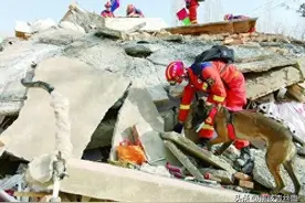 “天灾无情人有情”！这6位来自甘肃的明星，他们为家乡做了什么图片