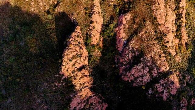 点击解锁红山国家森林公园的秋日“童话世界”→