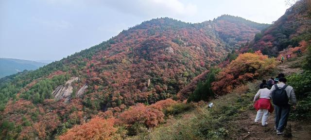 骊山红叶似火 车辆行人如织