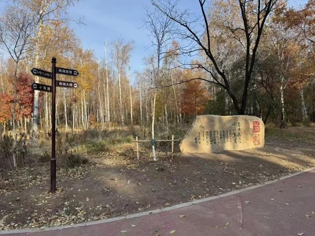 长春这里即将上新！明年开春去“寻宝”→