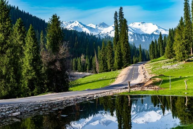 2025新疆旅游爆火！这3个真相劝你出发前看清