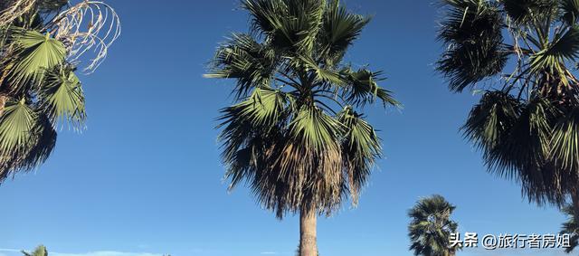 这里不是三亚却有着海南的风格，景点不大但很出片