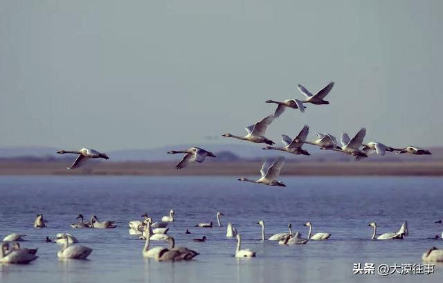 【原创】说走就走，草原行（五）