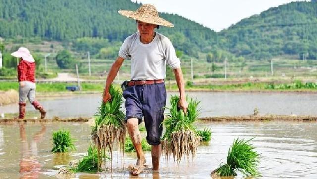 故事：再也不要为当年的“地主”、“富农”涂脂抹粉了，只是个例