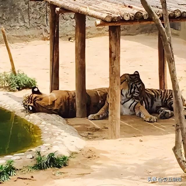 收藏贴！带您玩转潍坊的湖光水色