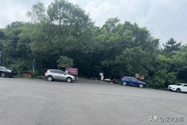 沈阳周边隐藏的“小阿勒泰”！市内出发一小时直达的云端秘境，还有高山草甸+萌宠乐园