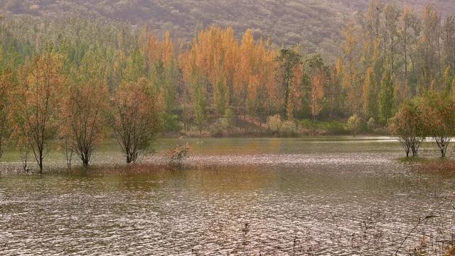 宿州私藏了个“小九寨沟”！就在萧县官桥镇，美到犯规！