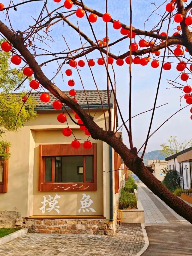 中医药、温泉、养生阿胶，济南的“康养密码”在这里！