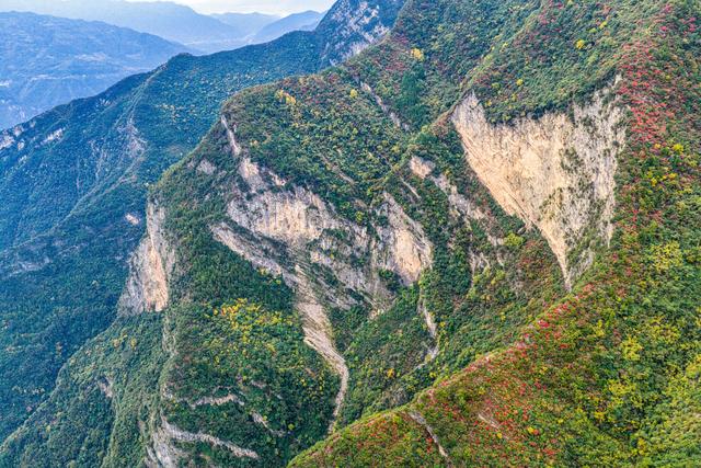 上坝彩林 彩林坝上
