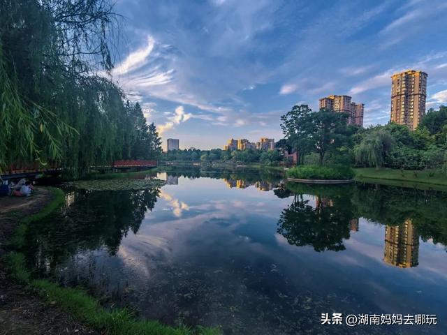 长沙南城遛娃，就爱这条免费清凉路线！