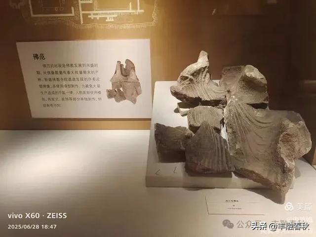 探秘丝路明珠,邂逅巴楚千年文明——走进新疆巴楚博物馆|申艳娟