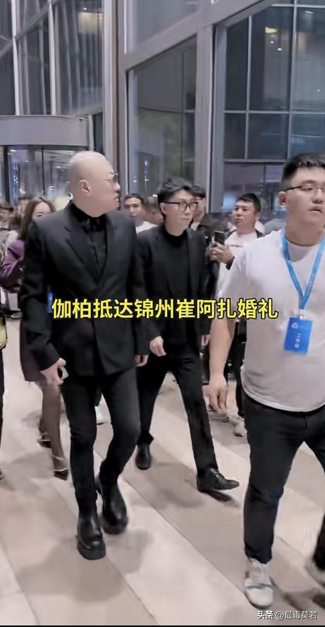 面对老葛挑理，天佑强调不会成为伽柏的棋子？