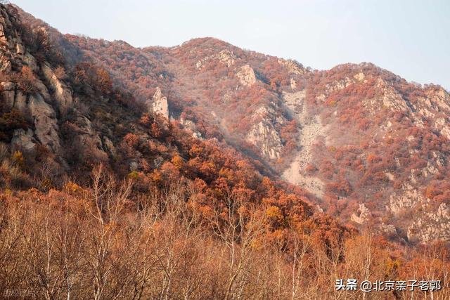 喇叭沟门赏秋徒步攻略：邂逅京郊“小喀纳斯”