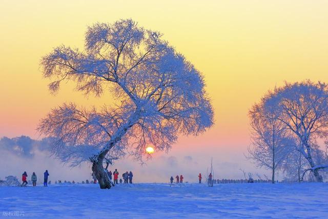 12月-次年2月，适合去看的7处好风景，茫茫雪景，极致浪漫