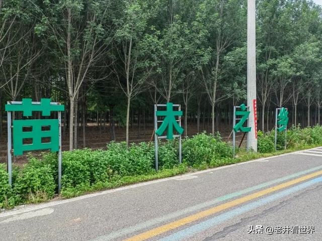 济宁城区北边有条森林绿道 文‖井明新