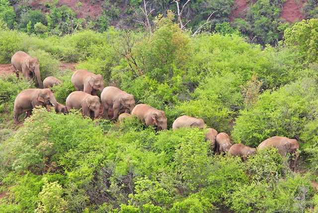 中国又1个大省被盯上，37万外国人赖着不走，还想要长久生活