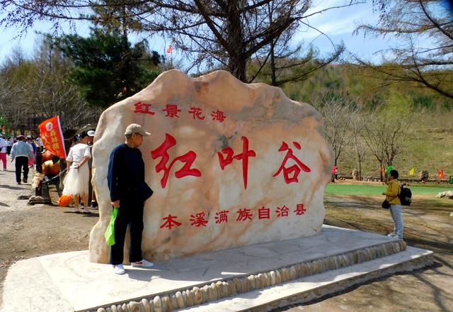 闻名省内外的“本溪地区最大的野生映山红花海”即将迎来观赏季