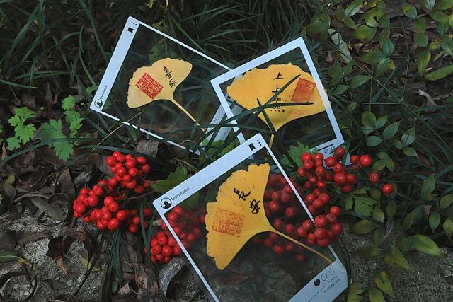 诸葛古镇冬日福利预告来啦！直播互动抽门票，文创盲盒藏惊喜