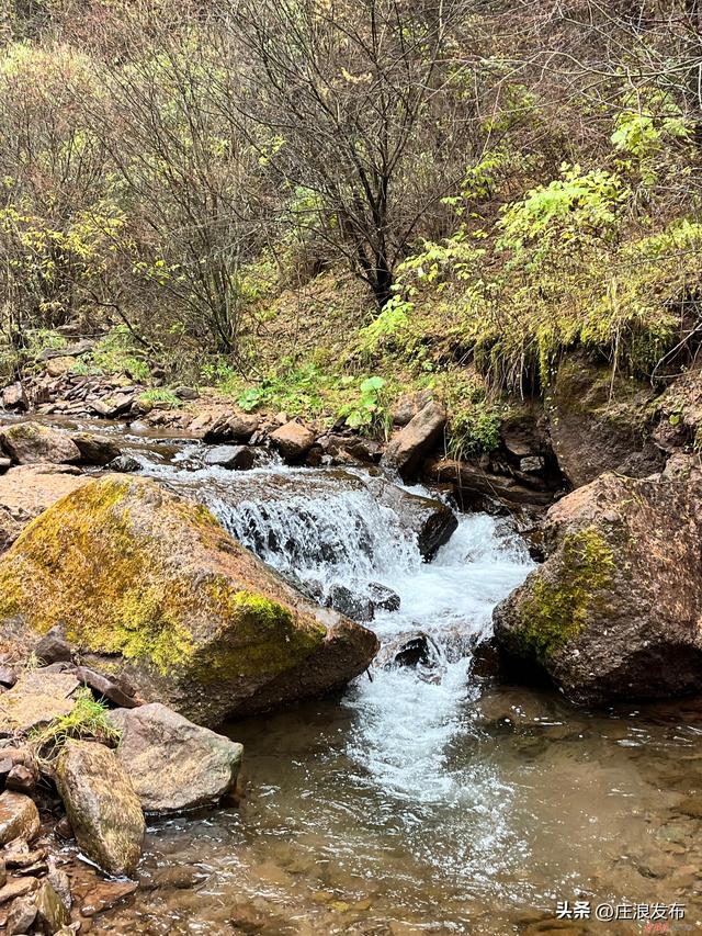 【摄影报道】庄浪：秋雨的关山是一种风骨美