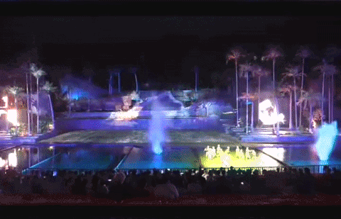 四载深耕，继往开来！四周年庆圆满落幕，新春灯会腊八璀璨启幕！