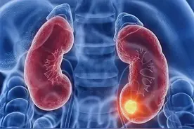 两味药泡水，补精、补肾、补阴、补阳图片