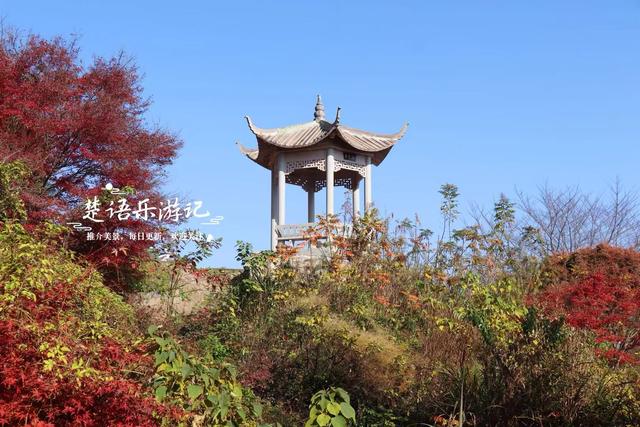 雪窦山深处的古村，周边的红枫胜境太美了，弥勒大佛观景地是亮点