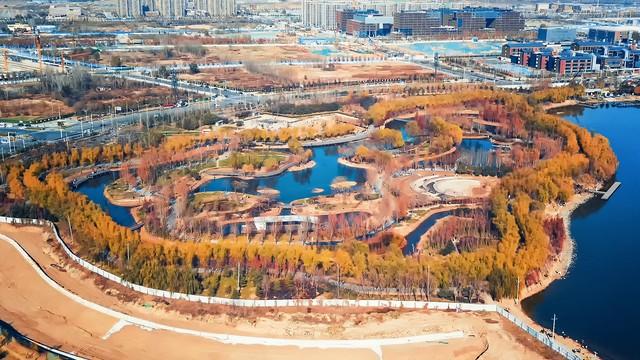 郑州秋日旅行天花板！这4个市内秋游美到难忘，最后一个印象深刻