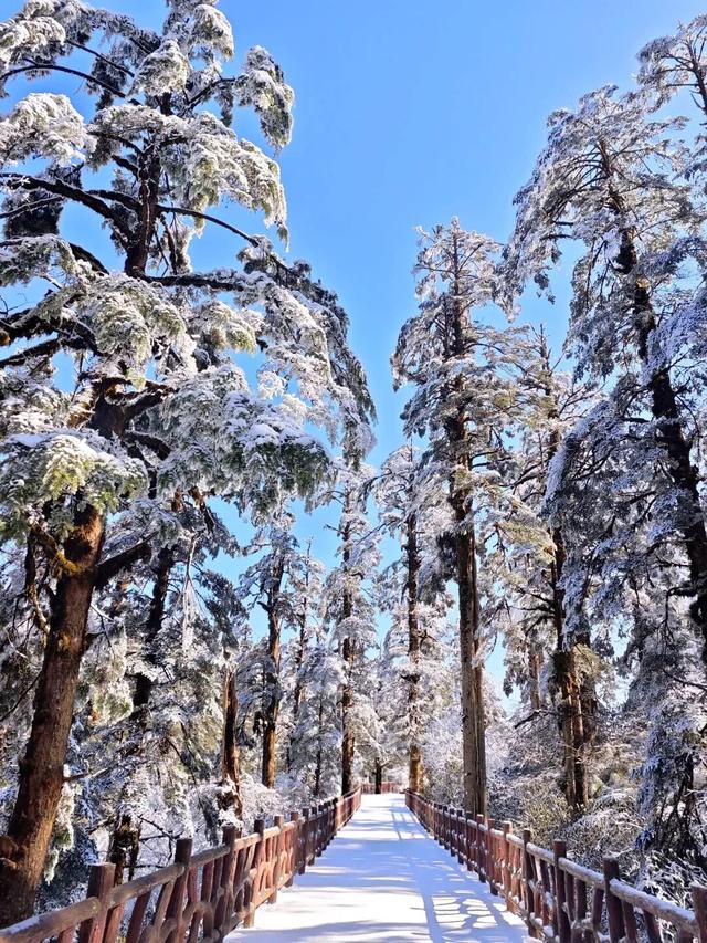太好了是瓦屋山的雪，我们南方孩子又快乐了！