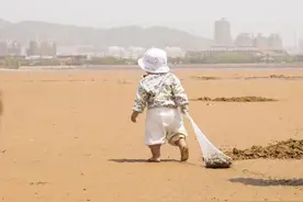 赶海、观鸟、拾“色”……三种纬度打开岚山海边的春天！图片