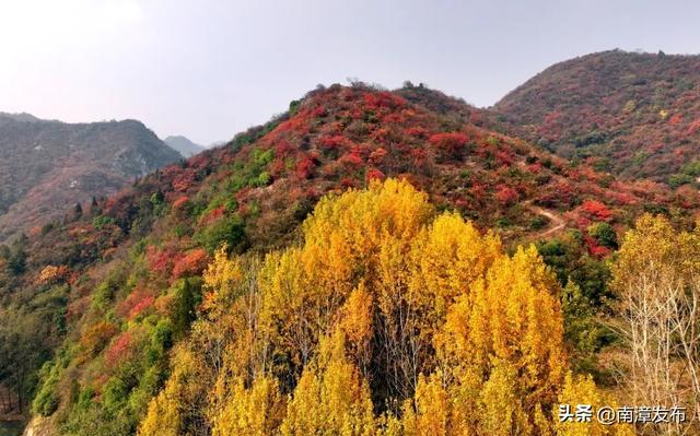 初冬“调色盘”已上线！古林坪红叶进入最佳观赏期，快来打卡！