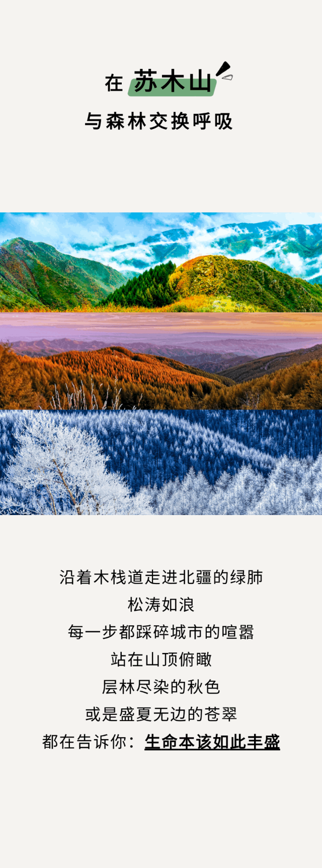 离开浪浪山 去乌兰察布的风里找自己