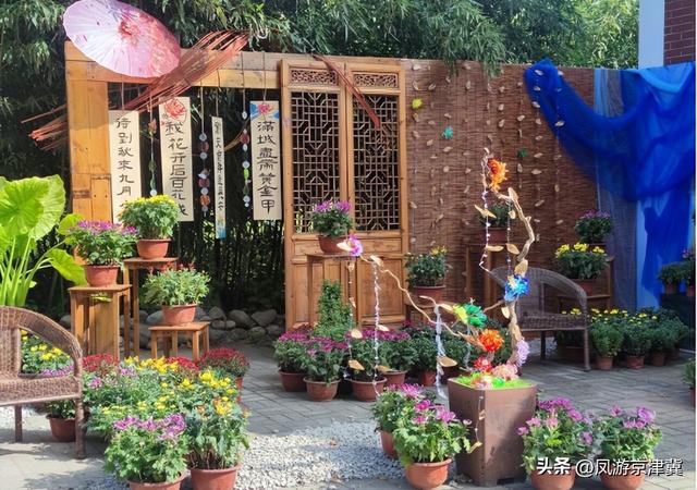 迎双节、促提升，保定市植物园打造高颜值园林景观等您打卡