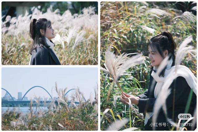 最适合拍银杏的地方！ 临沂十个0元打卡点，抓住今年最后的金色风暴！