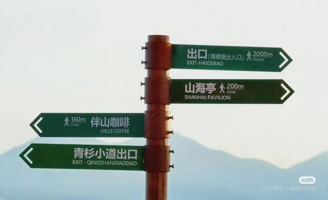 美疯了！高铁直达“四川小三亚”，花海开爆！草莓按盆吃，烧烤香迷糊！