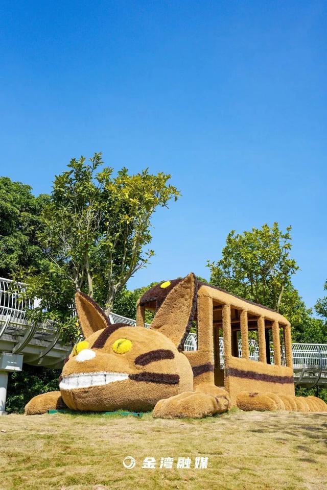 上午，金湾木头冲村的一幕幕