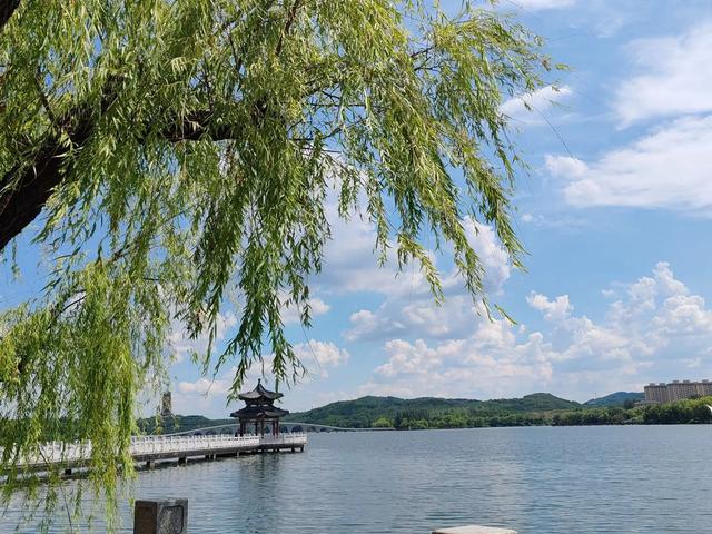 胶东农村的"马虎子"传说：比旅行更治愈，残荷边想起童年山野秘事